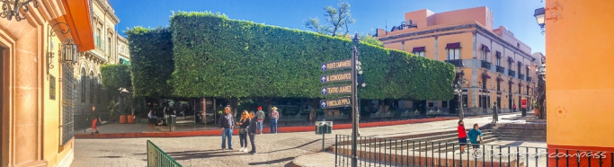 Jardín de la Unión - richtig schön als grüne Insel in der Stadt