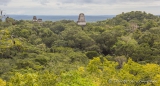 Hoch oben vom Templo IV bietet sich eien tolle Aussicht über den Dschungel und Tikal
