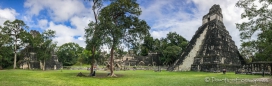 Tikal - Grand Plaza