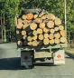 man beachte den Personentransport oben auf dem Holz ...