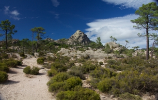 korsische Bergwelt