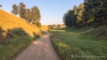 Aussichten entlang des Blacktail Plateau Drive