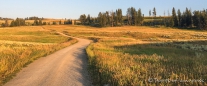 Aussichten entlang des Blacktail Plateau Drive