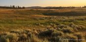 Aussichten entlang des Blacktail Plateau Drive