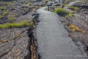 der Weg führt mitten durch die Lava-Felder