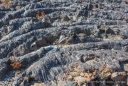 Die Pahoehoe Lava wirkt als ob es Baumrinde wäre