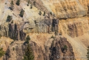 xDie gelben Felsen oberhalb des Yellowstone River