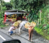 die einfache Art des Transportierens