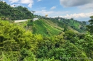 auf dem Weg von Manizales zu den Termales del Ruiz