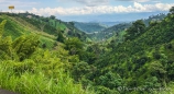 auf dem Weg von Manizales zu den Termales del Ruiz