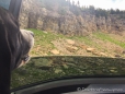 Luke genießt die Aussicht auf die Mountain Goats...