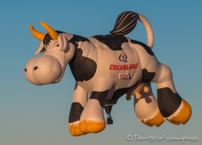 "Creamland Cow Airabella" aus Canada