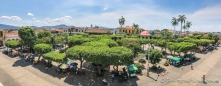 Blick auf den Parque Central von Granada