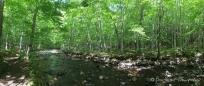 Cape Breton - Spazierweg entlang des MacIntosh Brook