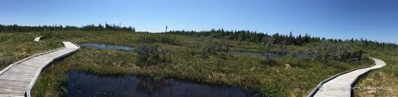 Cape Breton - Spazierweg entlang des MacIntosh Brook