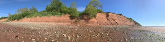 Strand am Blomingdale Provincial Park - bei Ebbe