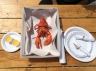 ... unser erster Lobster ...