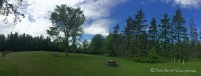 ... und wieder ein schöner Picknickbereich - im Caribou Provincial Park