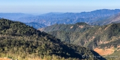 Blick über die Pinienwälder