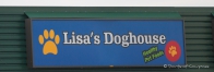wir wußten gar nicht, dass unsere Hundenachbarin hier schon einen Laden hat ;)