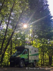 das Grün im Tillamook Forest leuchtet und wird durch das Glitzern der Sonne unterstützt