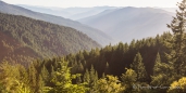 Entlang der Bear Camp Road geht es zurück nach Brookings