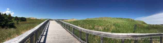 Dünen - Board Walk im PEI-Nationalpark Stanhope