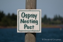 Die Adresse der nestbauenden Ospreys (Fischadler) ;))