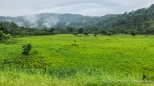 der Norden von Panama ist wahnsinnig grün