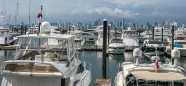 Blick von der Isla Perico zur Skyline von Panama City