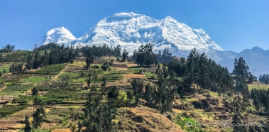 Die Cordillera Blanca strahlt vor dem blauen Himmel und über den grünen Feldern