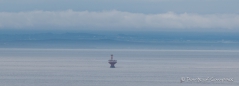 der morgendliche Nebel kommt über den Leuchtturm von Tadoussac im St.Lorenz Strom