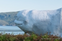 Beluga-Skulptur in Petit Saguenay
