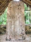 Ruinen von Cobá: auch schön... ;) ... was will uns dieser Stein sagen!?!?