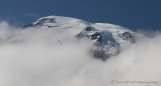 die Bergspitze des Mount Rainier...