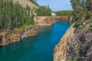 Schöne Spazierwege mit Blick auf den Yukon River in Whitehorse