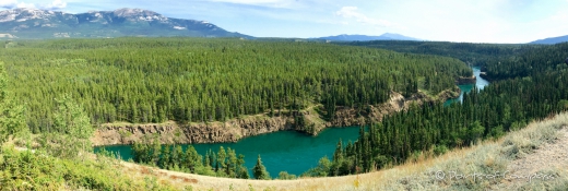 Schöne Spazierwege mit Blick auf den Yukon River in Whitehorse