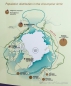 Die Bevölkerungsdichte in der Nordpolar-Region unserer Erde